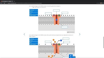 Lt - Understand Your Physiology | Synapses Lesson Walkthrough