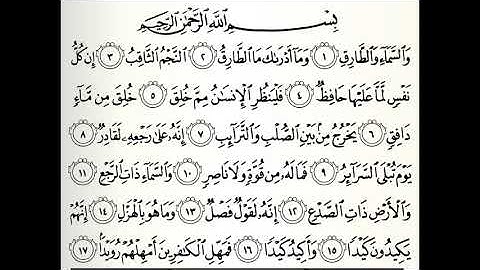 سورة الطارق القارئ حاتم فريد الواعر