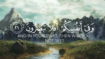 و في الأرض آيات للموقنين و في أنفسكم أفلا تبصرون ❤️