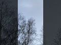 Luftbetankung über Günzburg oder doch Geleitschutz für einen Politiker, tippe jetzt!