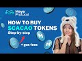 How to Buy $CACAO using Metamask and Keystore on ThorWallet | Maya Protocol