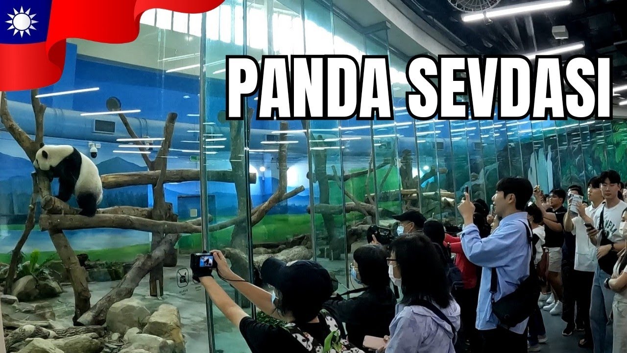 Hayatımda İlk Kez Panda Gördüm | 🇹🇼 ~ 92