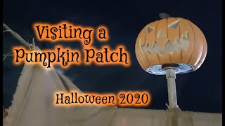 Visiting a Pumpkin Patch! - Avon Valley Adventure Park ~ pixxiefeather