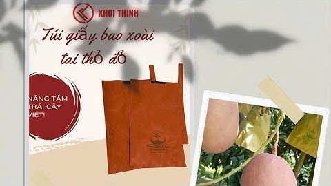 Giá xoài Đài Loan và cát hòa Lộc hôm nay ngày 3 tháng 4, 2025