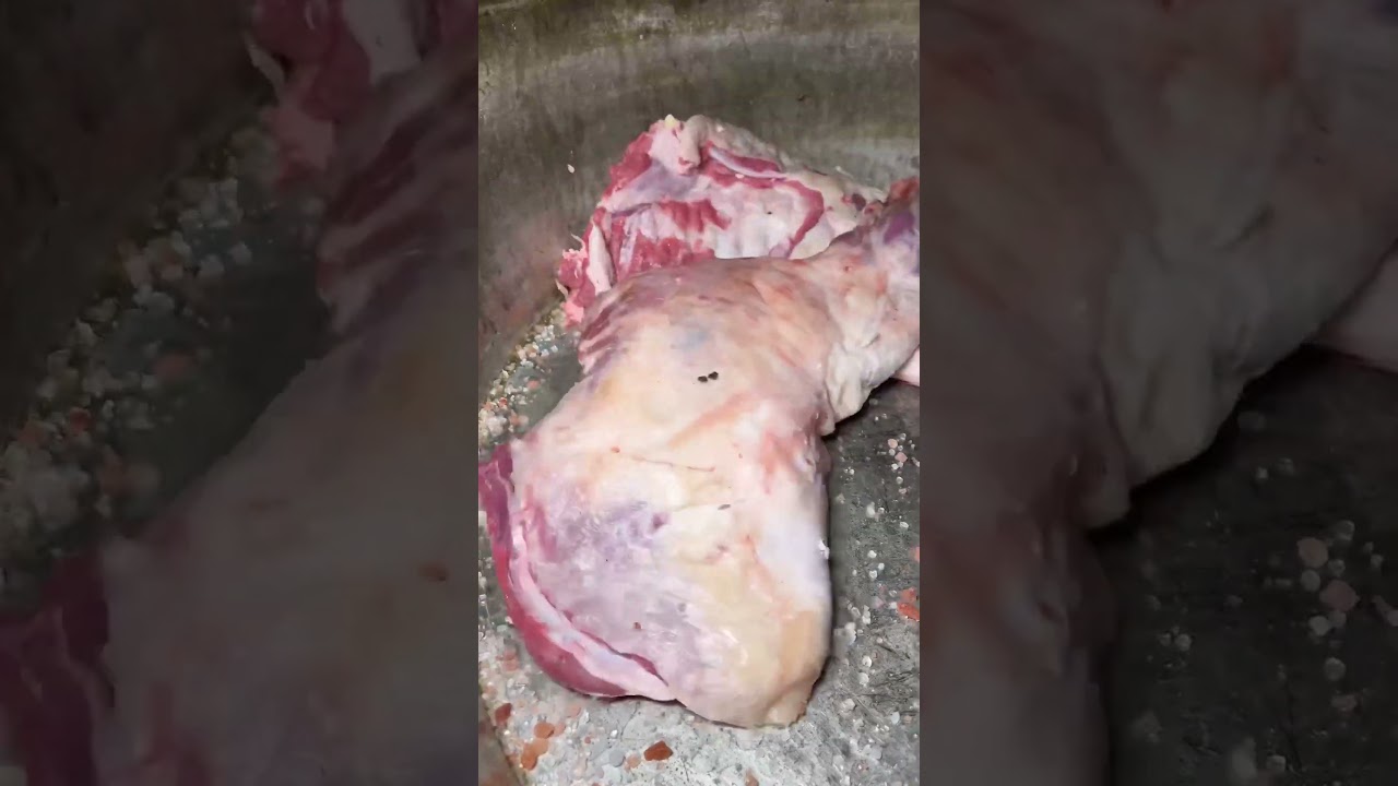 PİLAV ÜSTÜ KUZU KOL … #food #lezzet #yemek #yemektarifleri #kavurma #bbq #foodie #foodlover PİLAV ÜSTÜ KUZU KOL … #food #lezzet #yemek #yemektarifleri #kavurma #bbq #foodie #foodlover