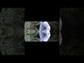 En la danza Sara Noboa , Música: Boo Moon Bella Moon #danceinnature #videodanza #komatovideodanza