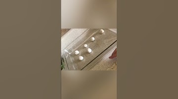 baked donut holes 🍩🤍🥖 recipe in comments