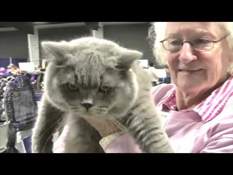 Family Pet Expo 2015 - Family Pet Expo 2015