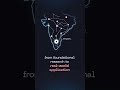 Emergence India Labs  - Professor Siddhartha Gadgil joins as Chief Scientist