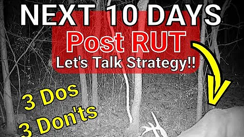 Whitetail Post Rut Dos and Don'ts