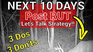 Whitetail Post Rut Dos and Don'ts Net Worth