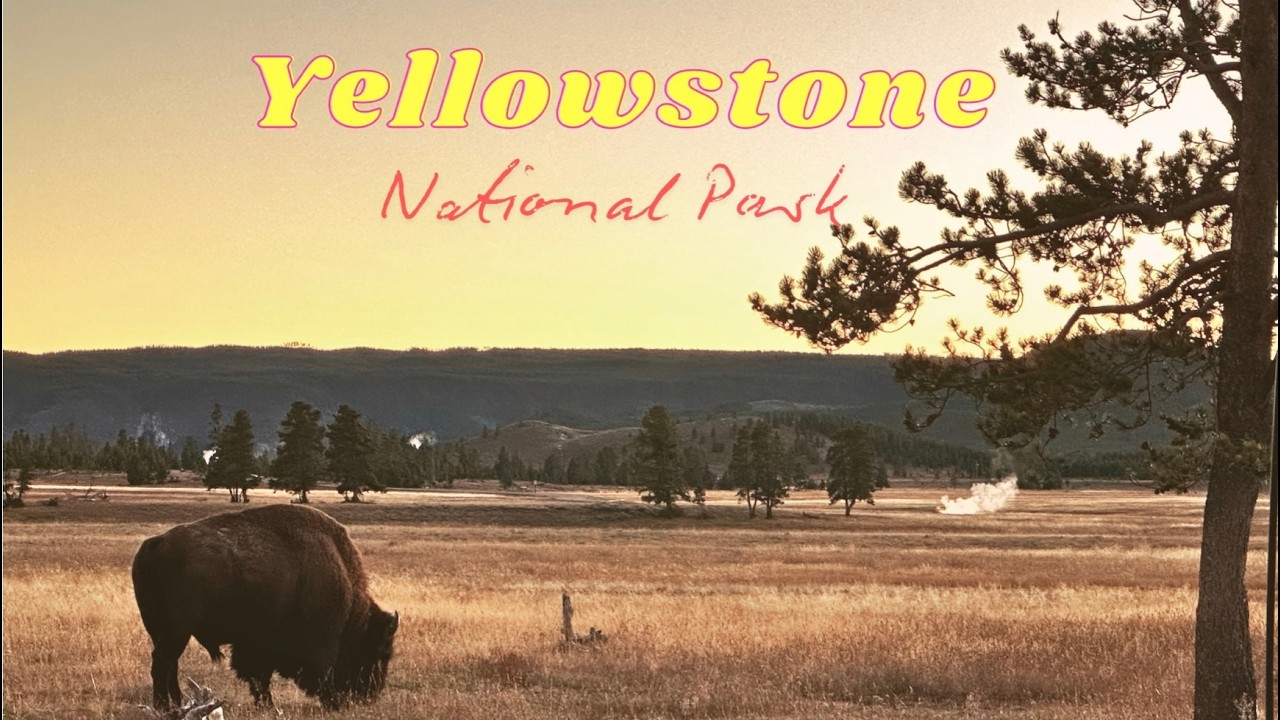 Йеллоустонский национальный парк — видеоблог о путешествии (несколько дней) 4K