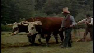 Plowing by Michael Duvall 12,904 views 14 years ago 3 minutes, 23 seconds