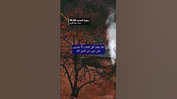 آخر سورة الحديد الايه 28-29