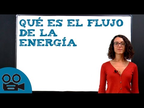 Video: ¿Por qué la pirámide es un modelo eficaz para cuantificar el flujo de energía?