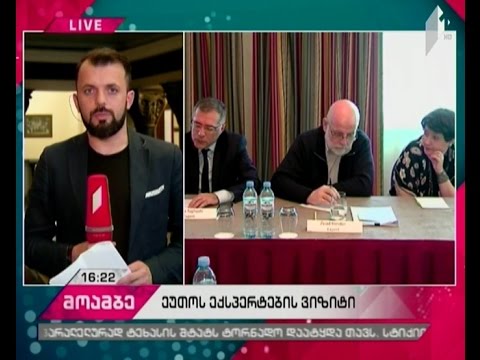 მედიაგარემო საქართველოში - ეუთოს წარმომადგენლები უმრავლესობის წარმომადგენლებს ხვდებიან