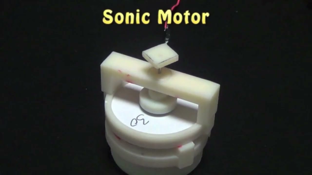 Sonic Motion   Pet products