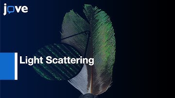Biological Material Light Scattering Measurement | Protocol Preview