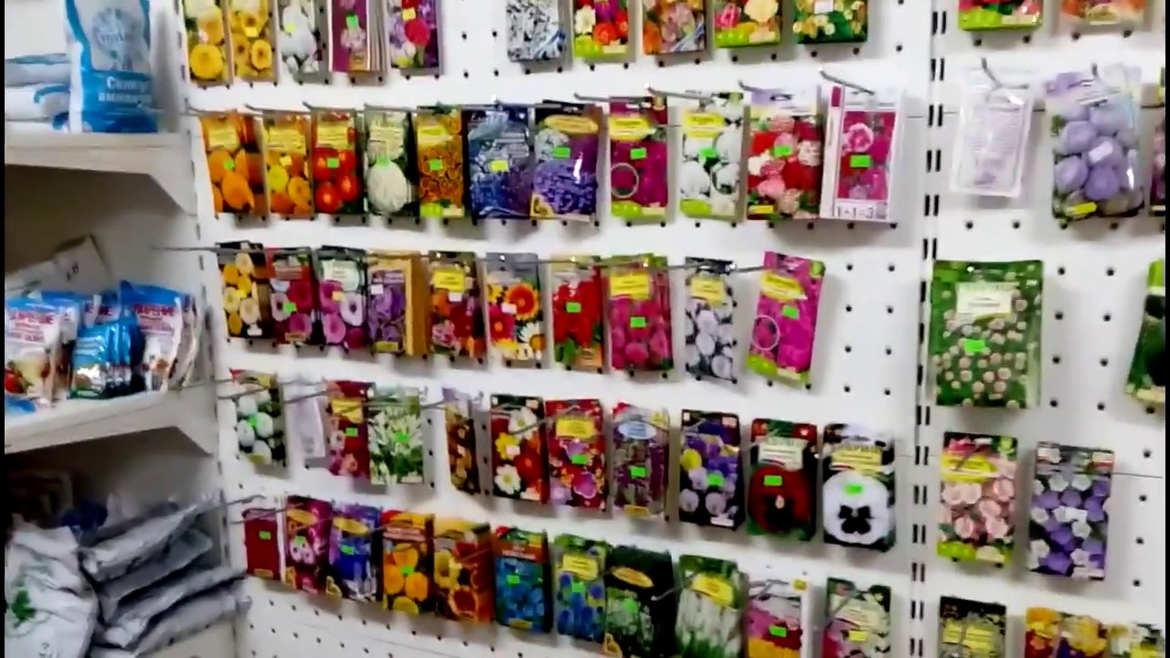 Мой любимый МАГАЗИН В МОЗЫРЕ/My favorite store in Mozyr