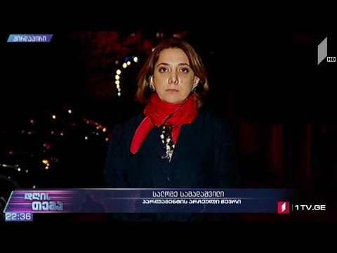 უთანხმოება პოლიტიკური შეთანხმების გარშემო - „დღის თემის“ შეკითხვებს სალომე სამადაშვილმა უპასუხა