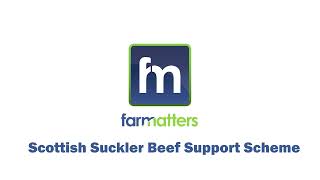 Farm Matters Scottish Suckler Beef Support Scheme