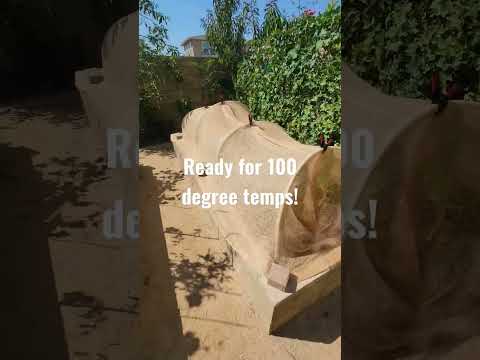 Vídeo: Garden Heat Safety Tips – Aprenda sobre jardinagem em uma onda de calor