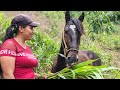Un día más en el campo