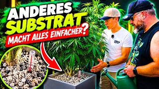 How to water correctly in mineral substrate!