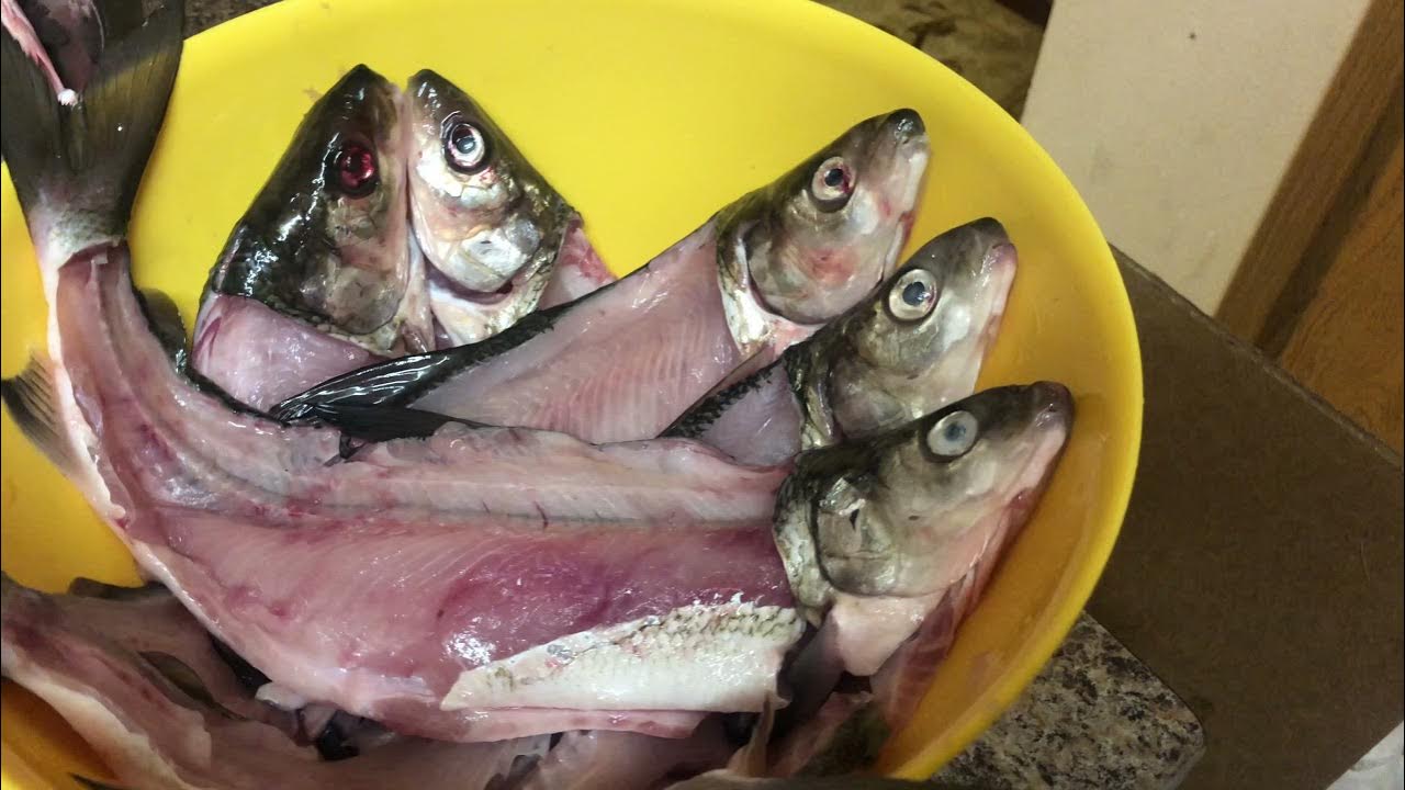 Cooking Whitefish At Home - YouTube