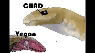 Siats Bad Noobs Eolambia Good