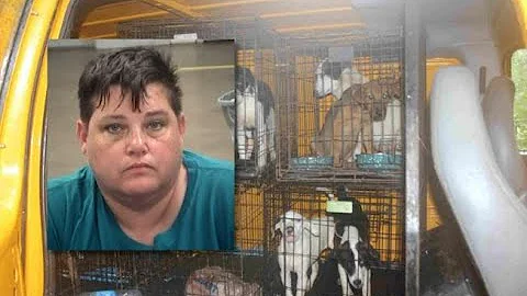 Heard County sheriff officials rescue more than 200 dogs from deplorable conditions | WSB-TV