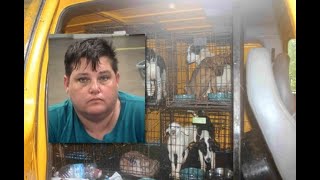 Heard County sheriff officials rescue more than 200 dogs from deplorable conditions | WSB-TV