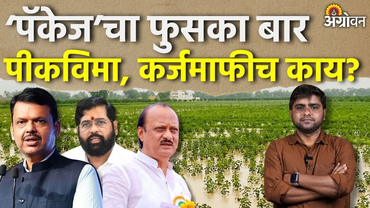 Ativrushti Madat: राज्य सरकारच्या पॅकेजमध्ये शेतकऱ्यांना वाढीव मदत कमीच | Agrowon