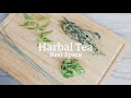 【シトラス香る】#015 美味しいハーブティーの作り方 // How To Make Citrus Flavored Herbal Tea