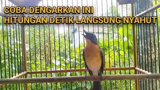 Pancingan Ampuh Supaya Tledekan Gunung Gacor Bongkar Isian