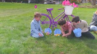 Easter Egg Hunt on the farm at Coastal Black!