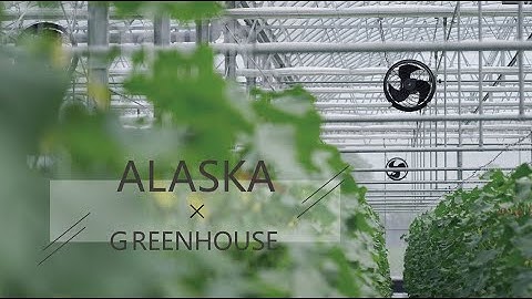 Reliable supplier is essential to help the crops grow vigorously -See description for free Magazine!