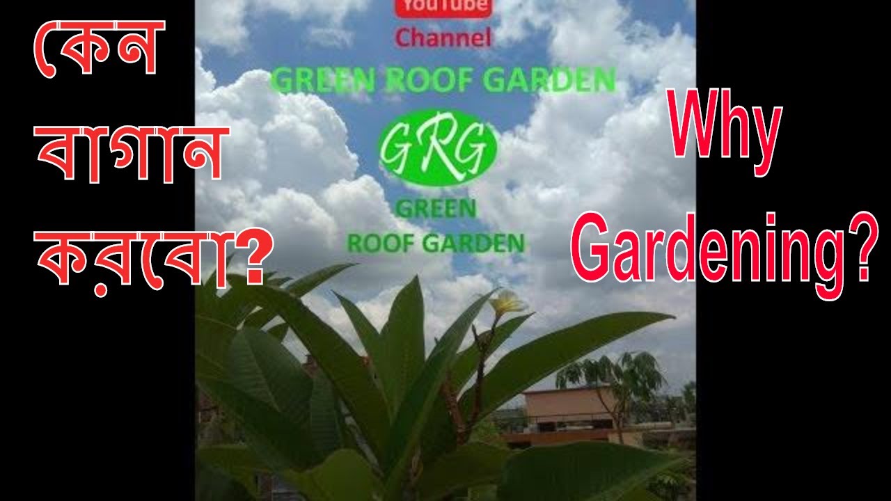 Green Roof Garden Why gardening? Bangla YouTube