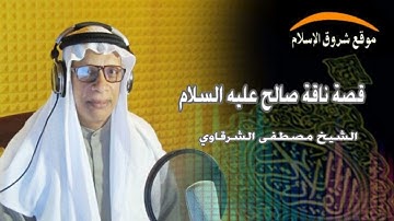 من قصص القرآن الكريم - 7 ( فضيلة الشيخ مصطفى محمد الشرقاوي )