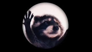 RavilZ, Alice - Pedro Pedro Pedro (Slap House)