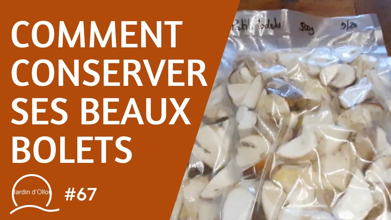 #59-Comment conserver ses plus beaux bolets