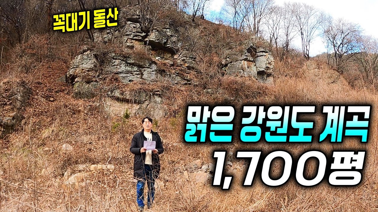 토지 1,700평 전부에 딱 붙은 계곡! 가격 자체가 너무 씨서 말이 안나옵니다