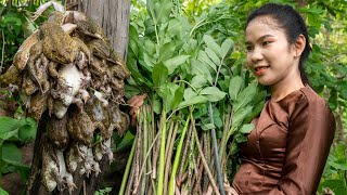 Rare Wild Elephant Foot Yam & Frog Recipe in Mountain Forest – Ancient Cooking by Dalin
