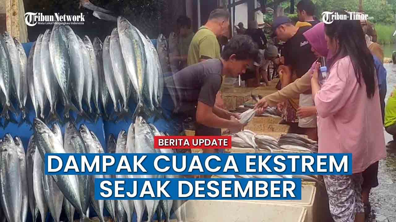 Harga Ikan di Makassar Mahal