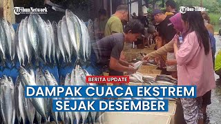 Harga Ikan di Makassar Mahal