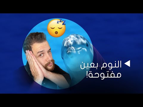 فيديو: الدلافين لا تتنفس تلقائيا