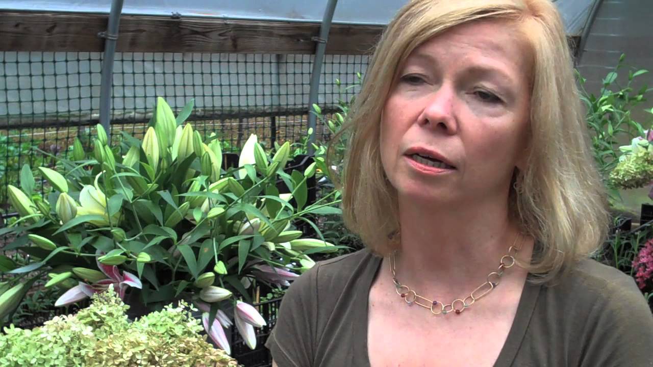 Poplar Wood Farm CSA (Community Supported Agriculture)