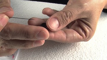 Pinning Large Insects