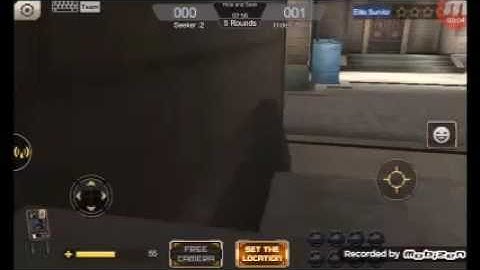 Crisis action bug hide and seek