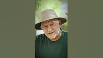 تبخا و جنیه را با الکسی کمالی کشف کنید اولین نمایش آشپزی موزیکال در نوع خود 